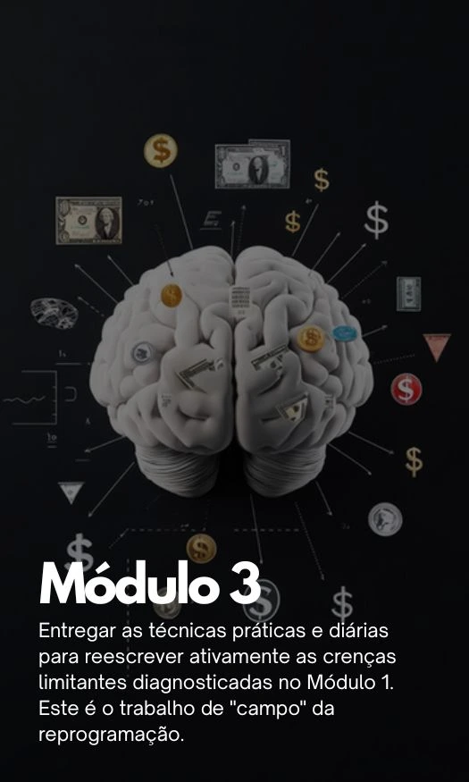 Módulo 3